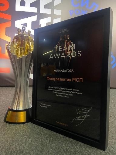 Team Awards - команда года 2021 (категория НКО) 